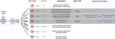 Pathophysiological and Clinical Aspects of Chronic Rhinosinusitis: Current Concepts